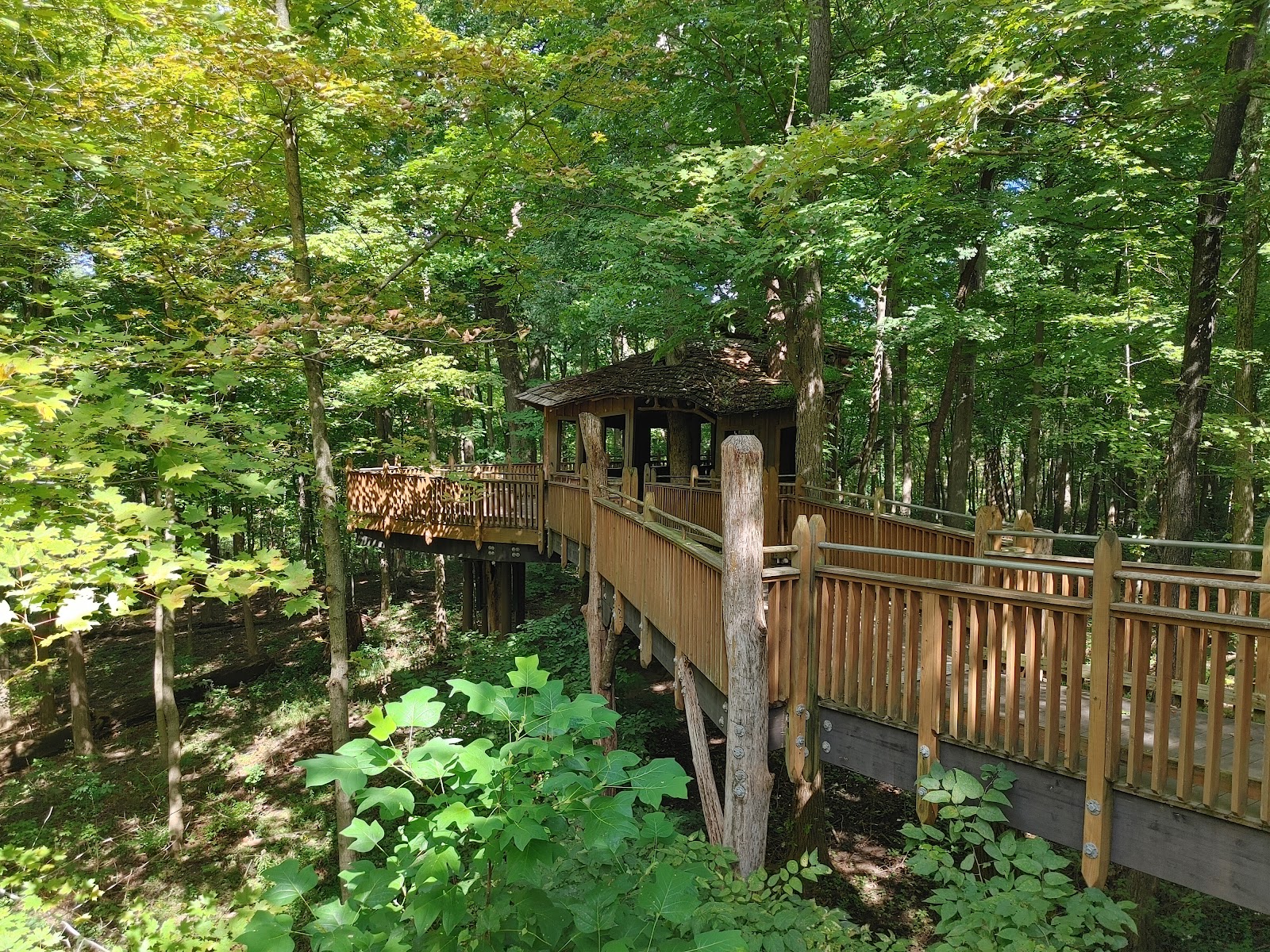 Mount Airy Forest