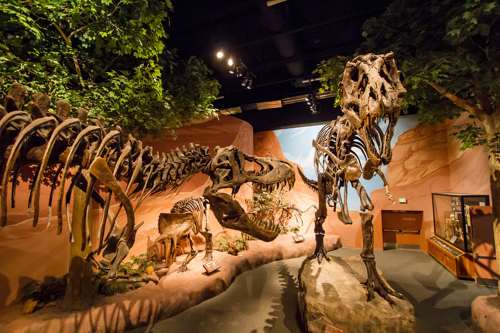 Mountain America Museum of Ancient Life at Thanksgiving Point