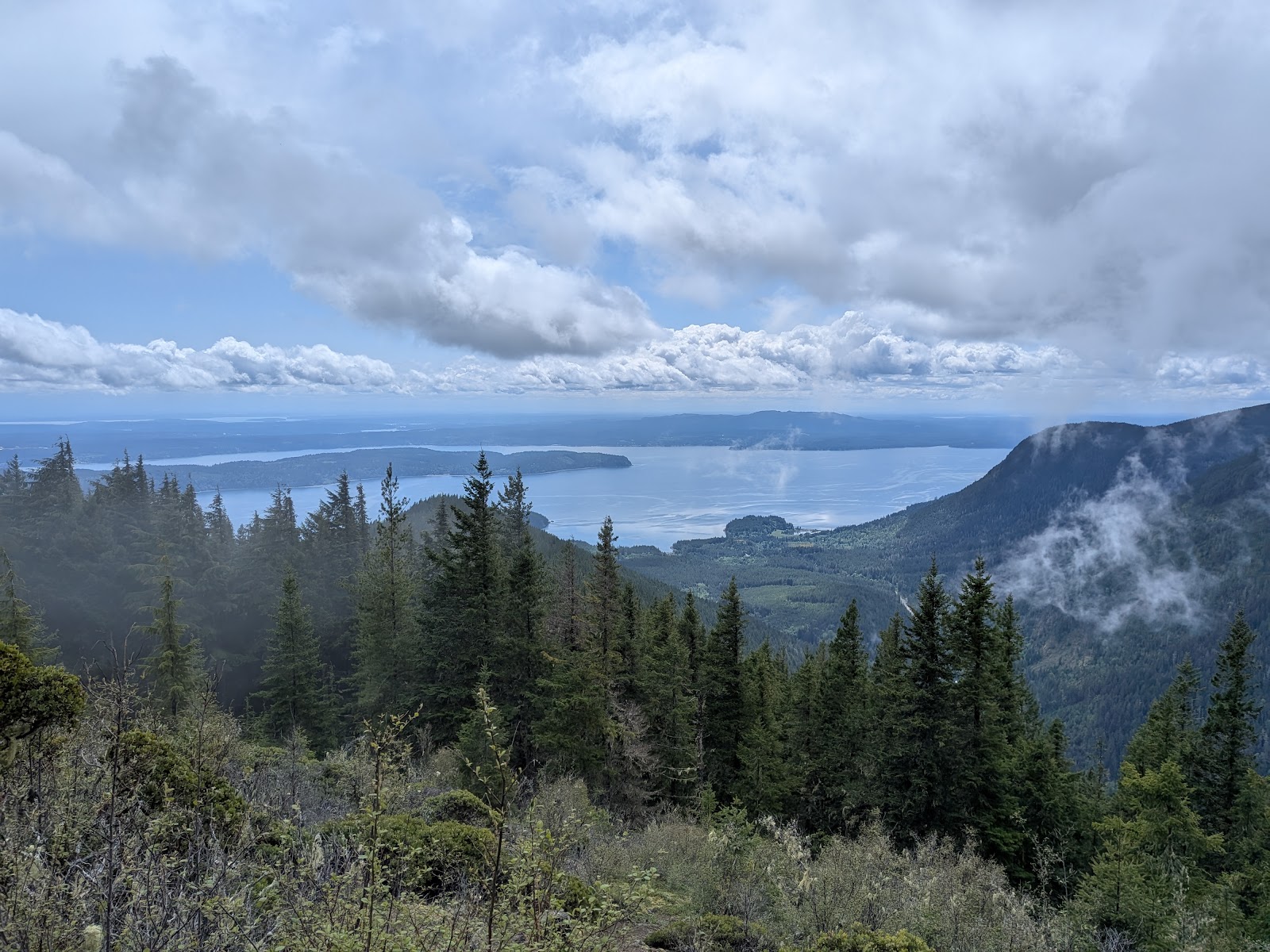 Mt. Walker Viewpoint