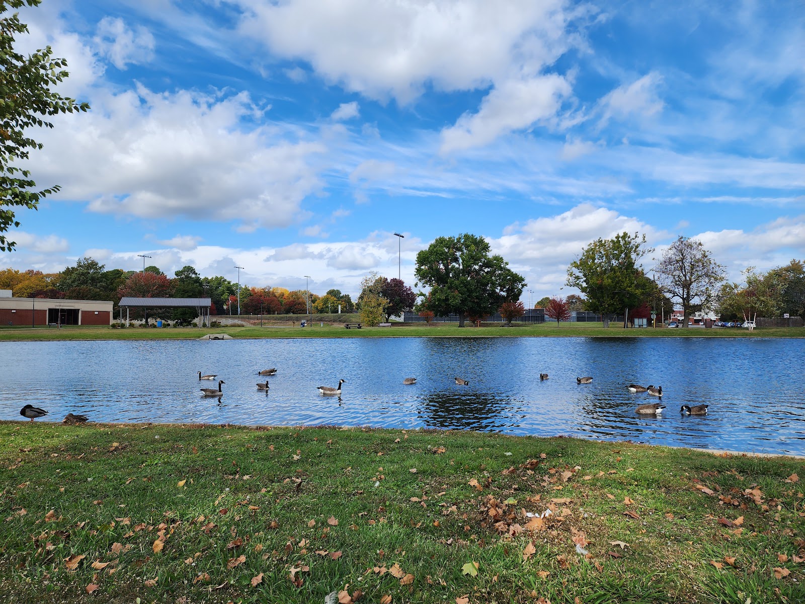 Murphy Park