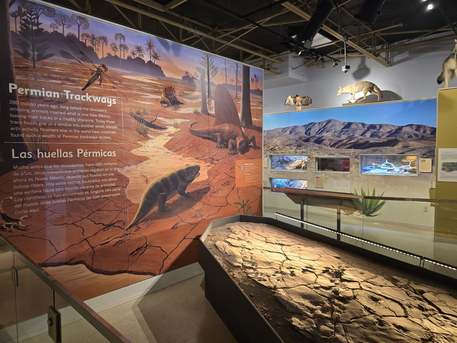 Museum of Nature & Science