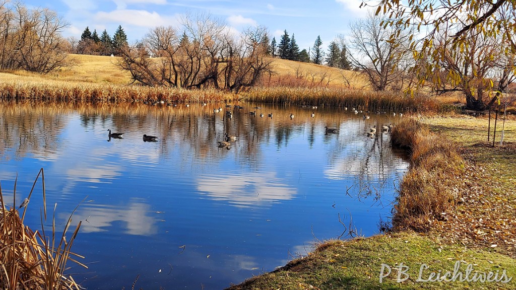 Mylar Park