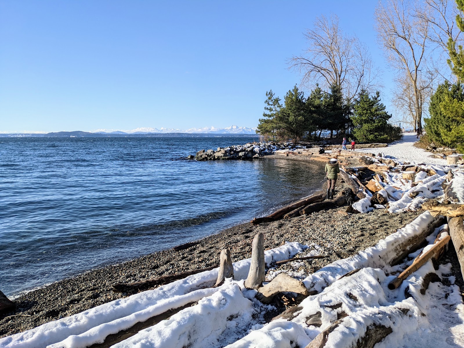 Myrtle Edwards Park