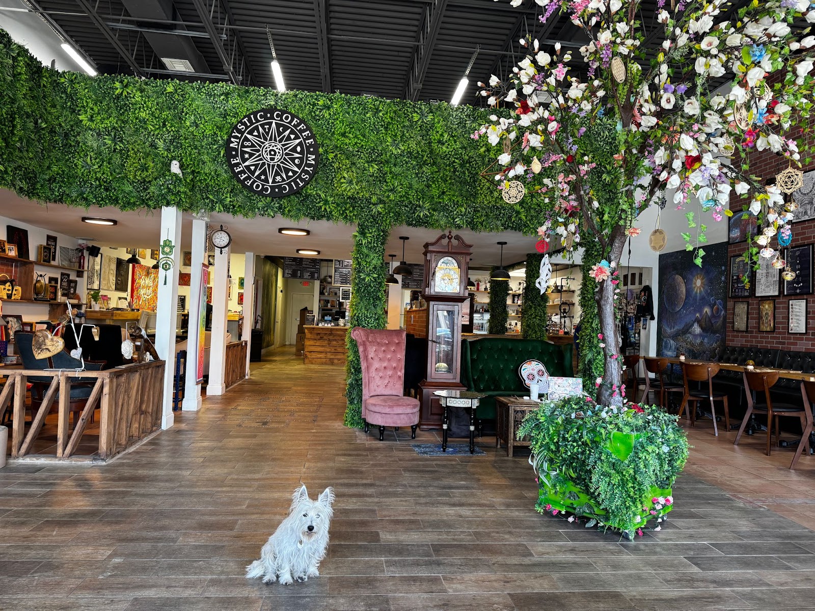 Mystic Coffee