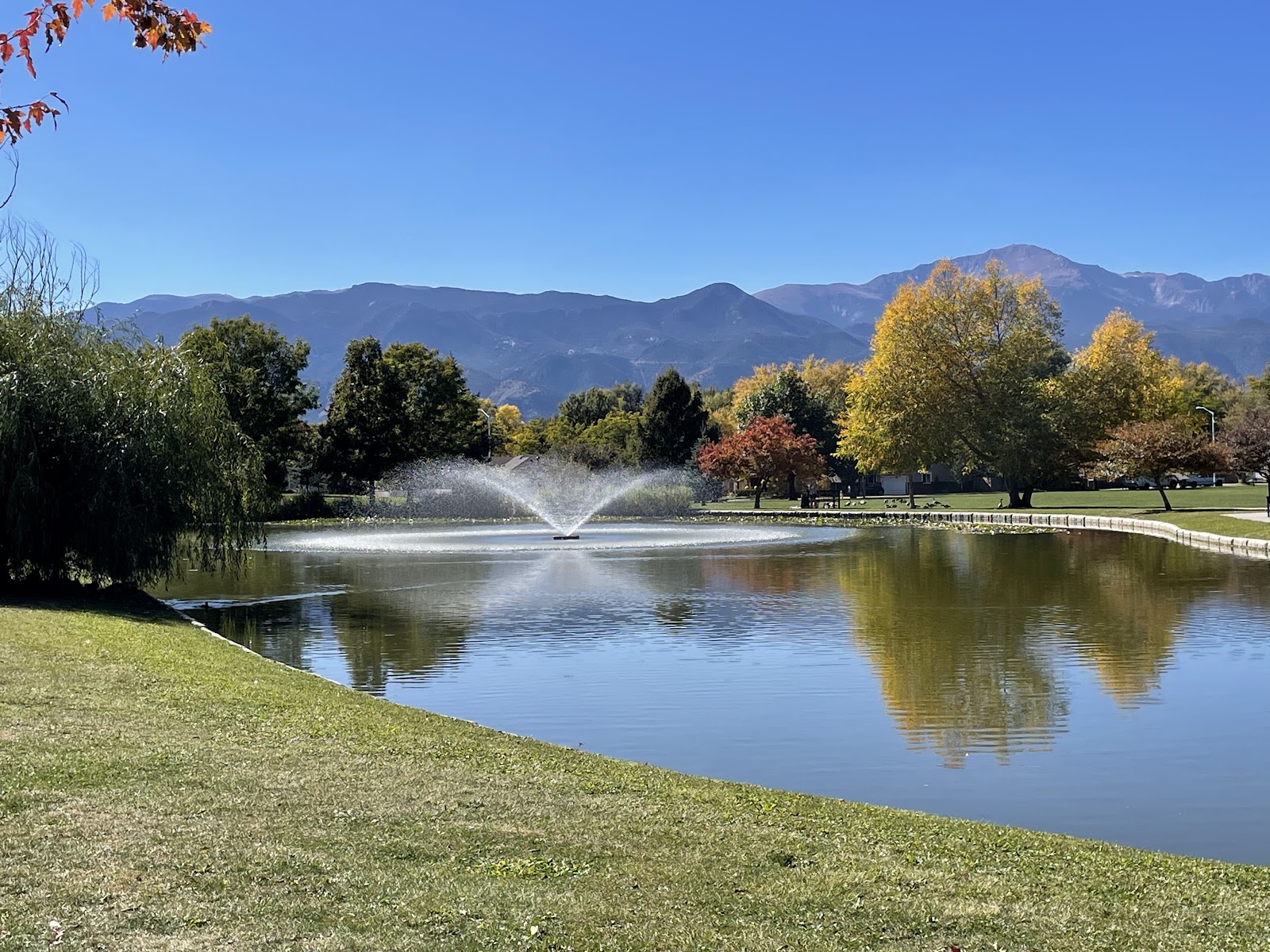 Nancy Lewis Park