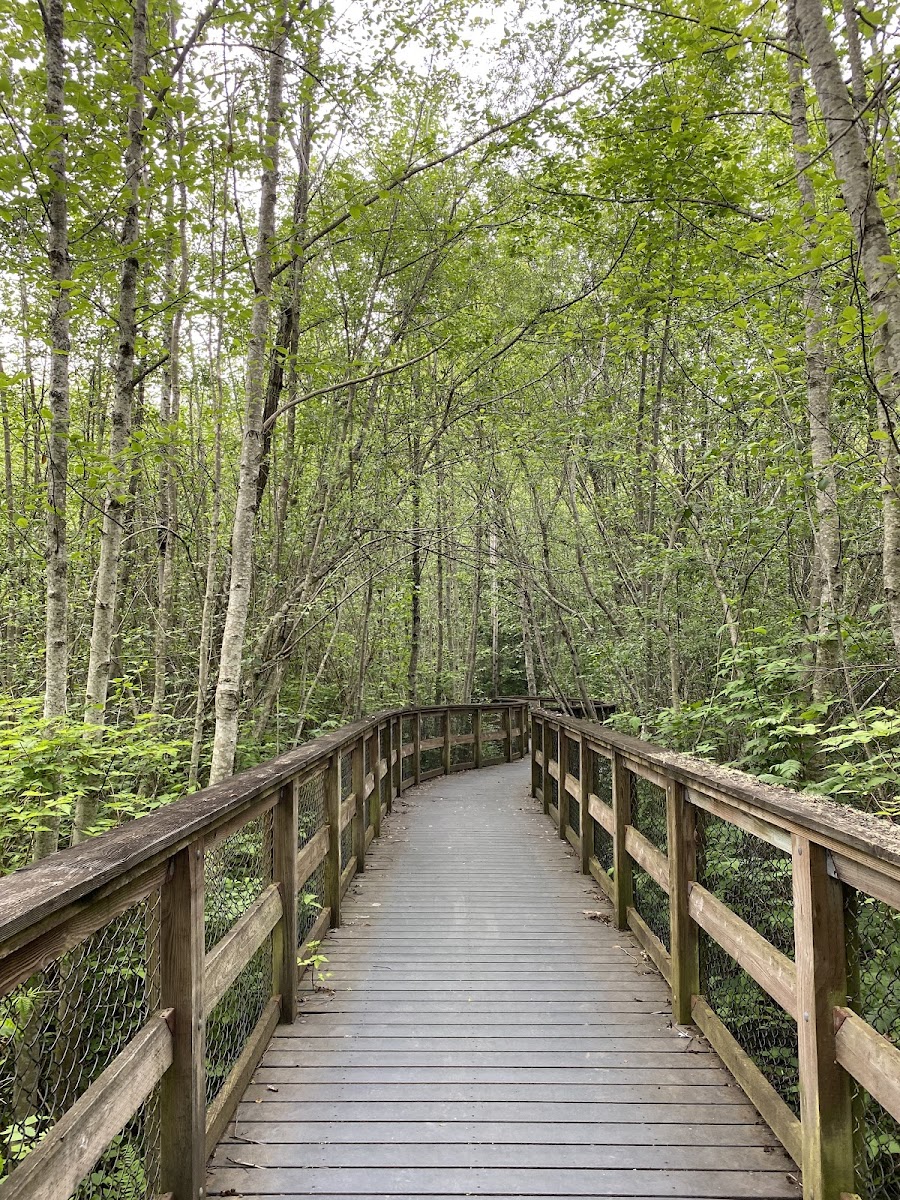 Narbeck Wetland Sanctuary