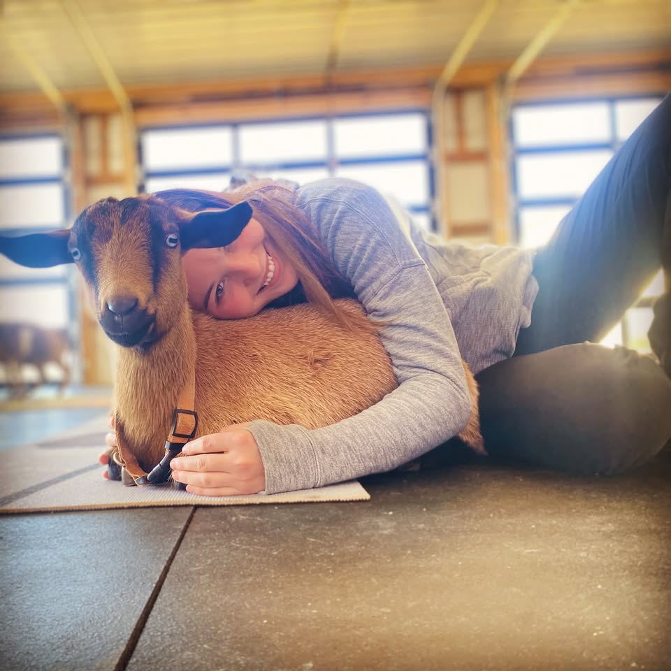 Nashville Horse and Goat Yoga