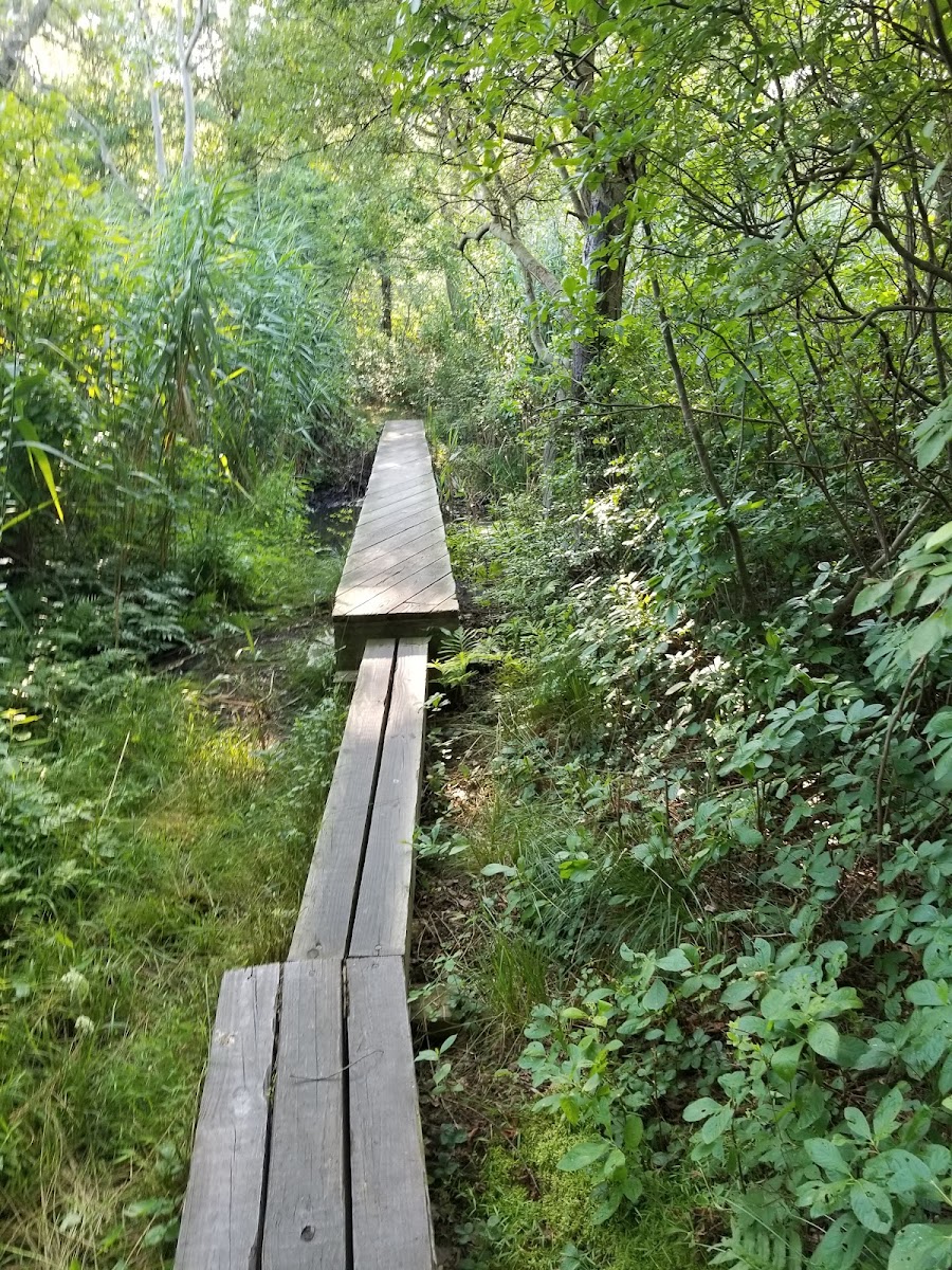 Nassau-Suffolk Greenbelt Trail