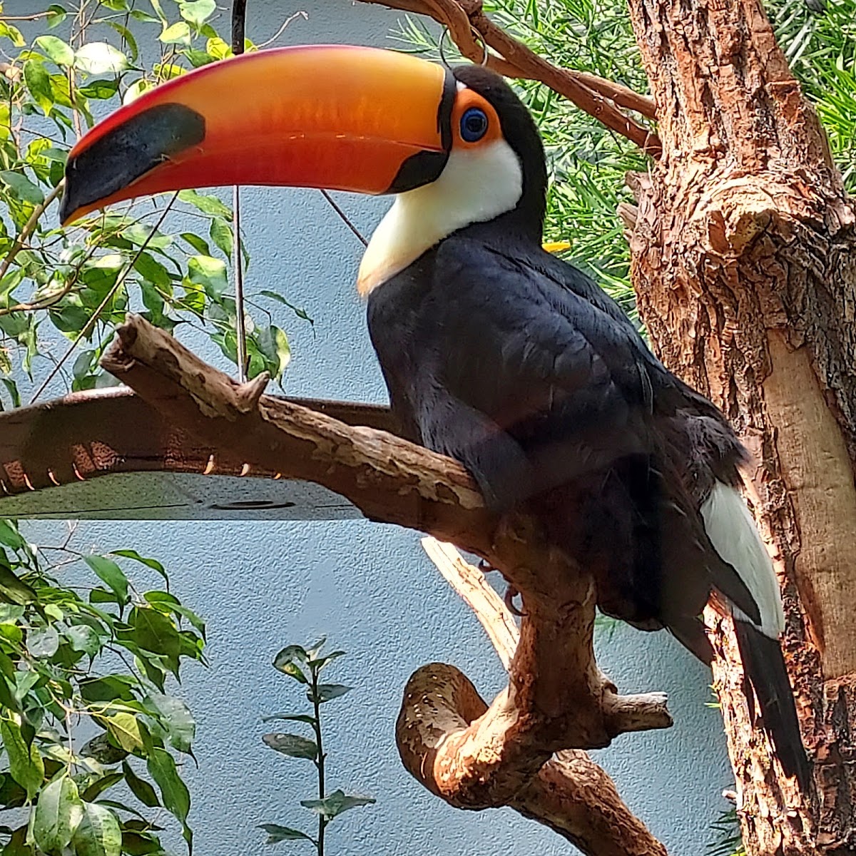 National Aviary Family Afternoon