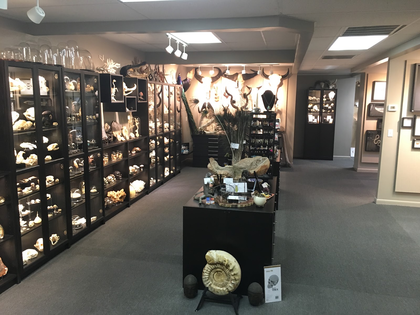 natur showroom