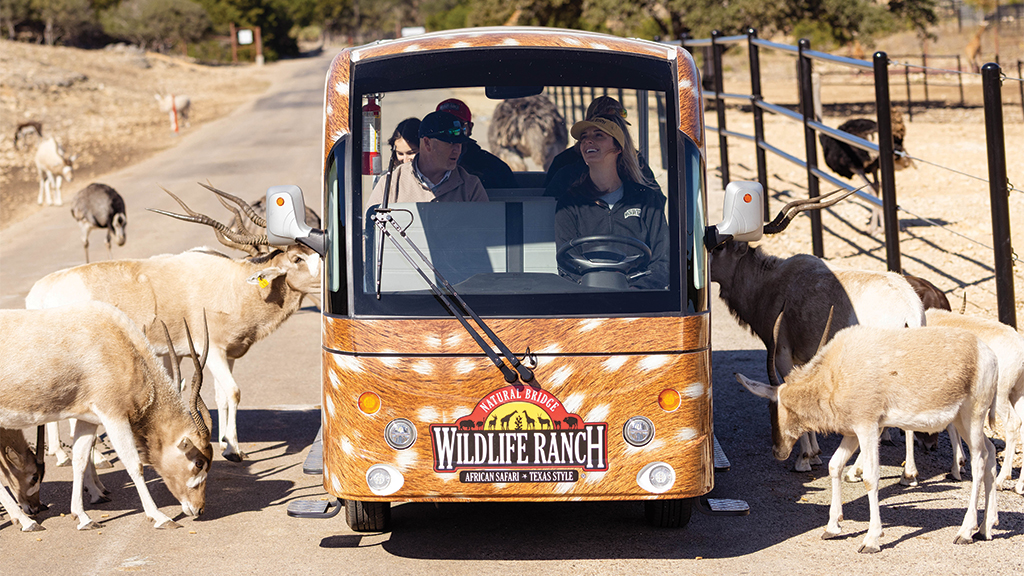 Natural Bridge Wildlife Ranch