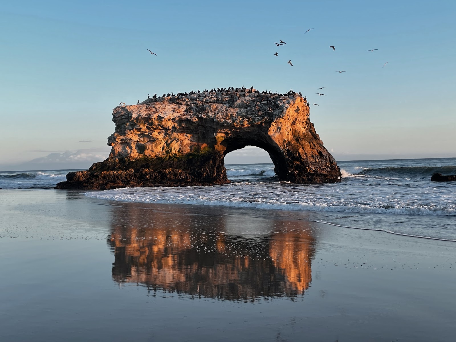 Natural Bridges State Beach