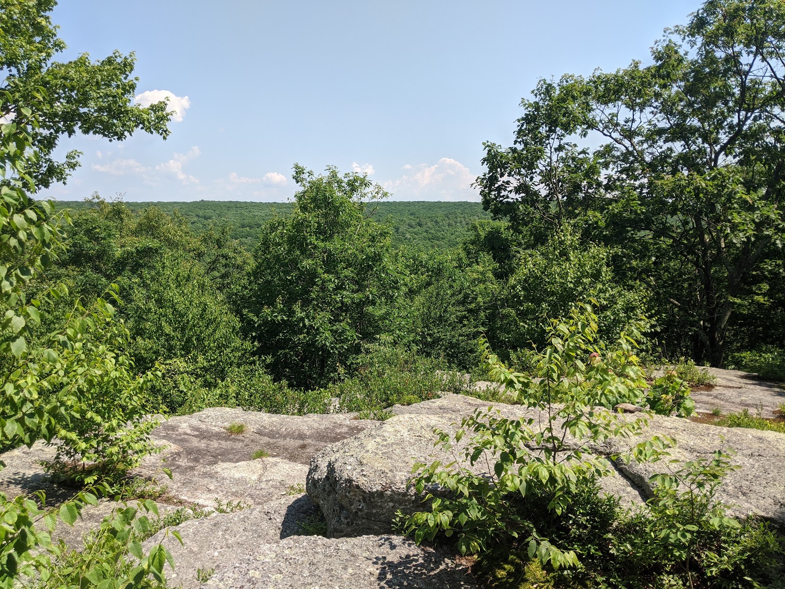 Natural Lands' Bear Creek Preserve
