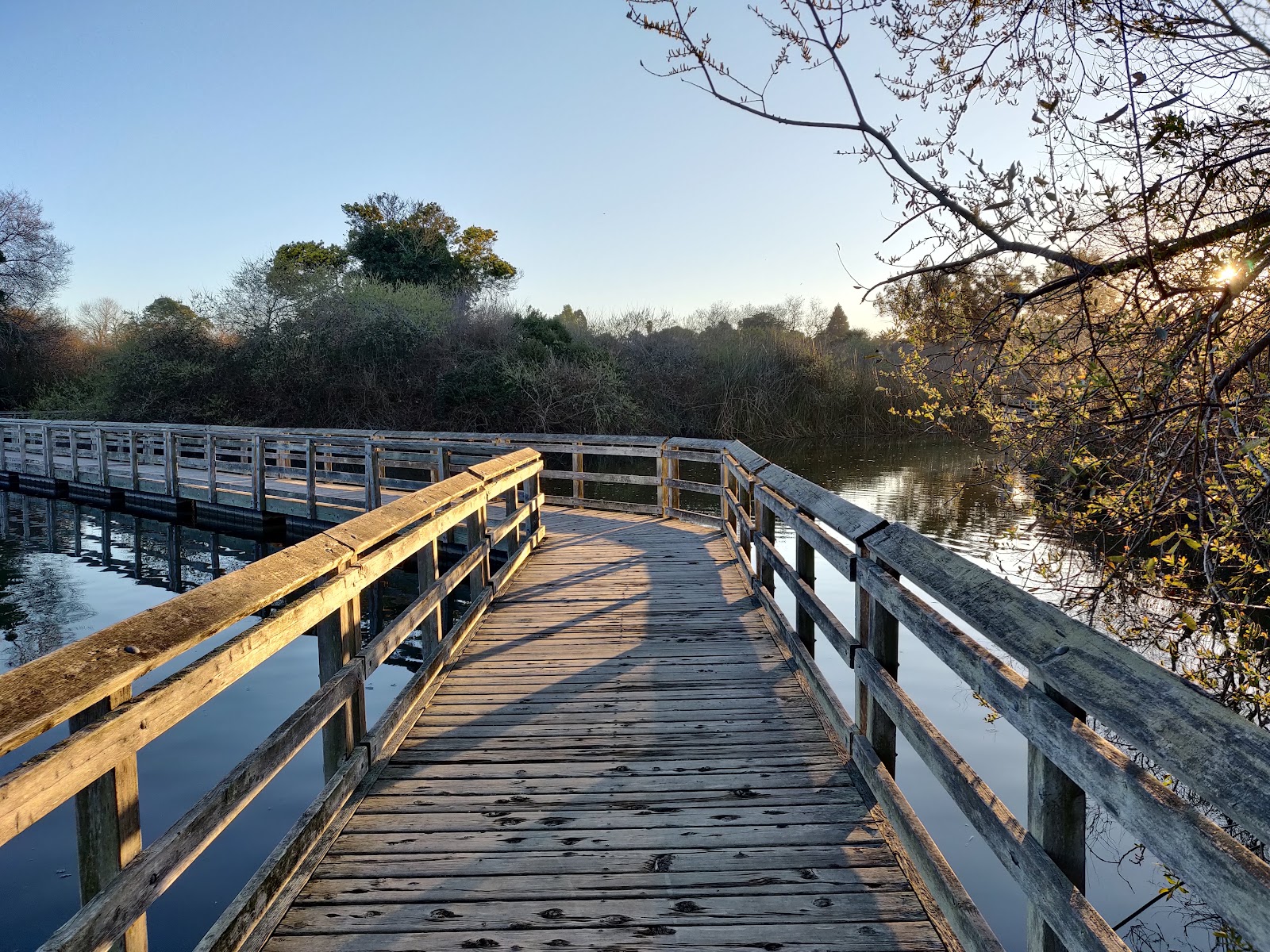Neary Lagoon Park