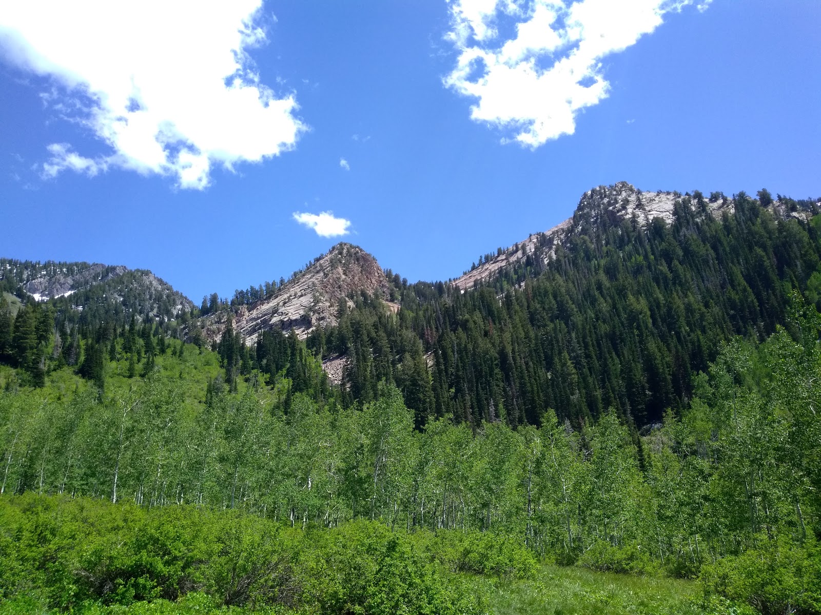 Neffs Canyon