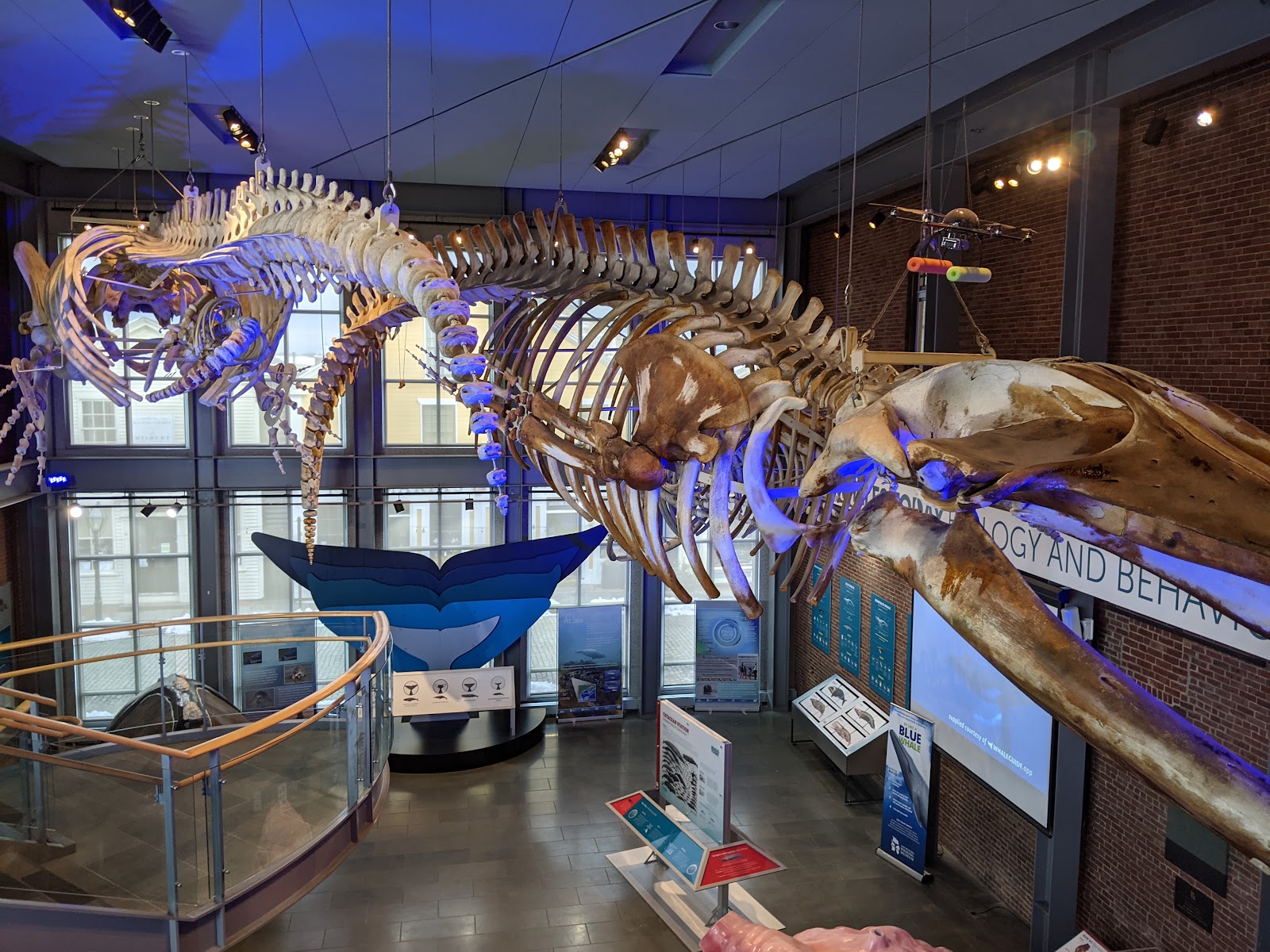New Bedford Whaling Museum