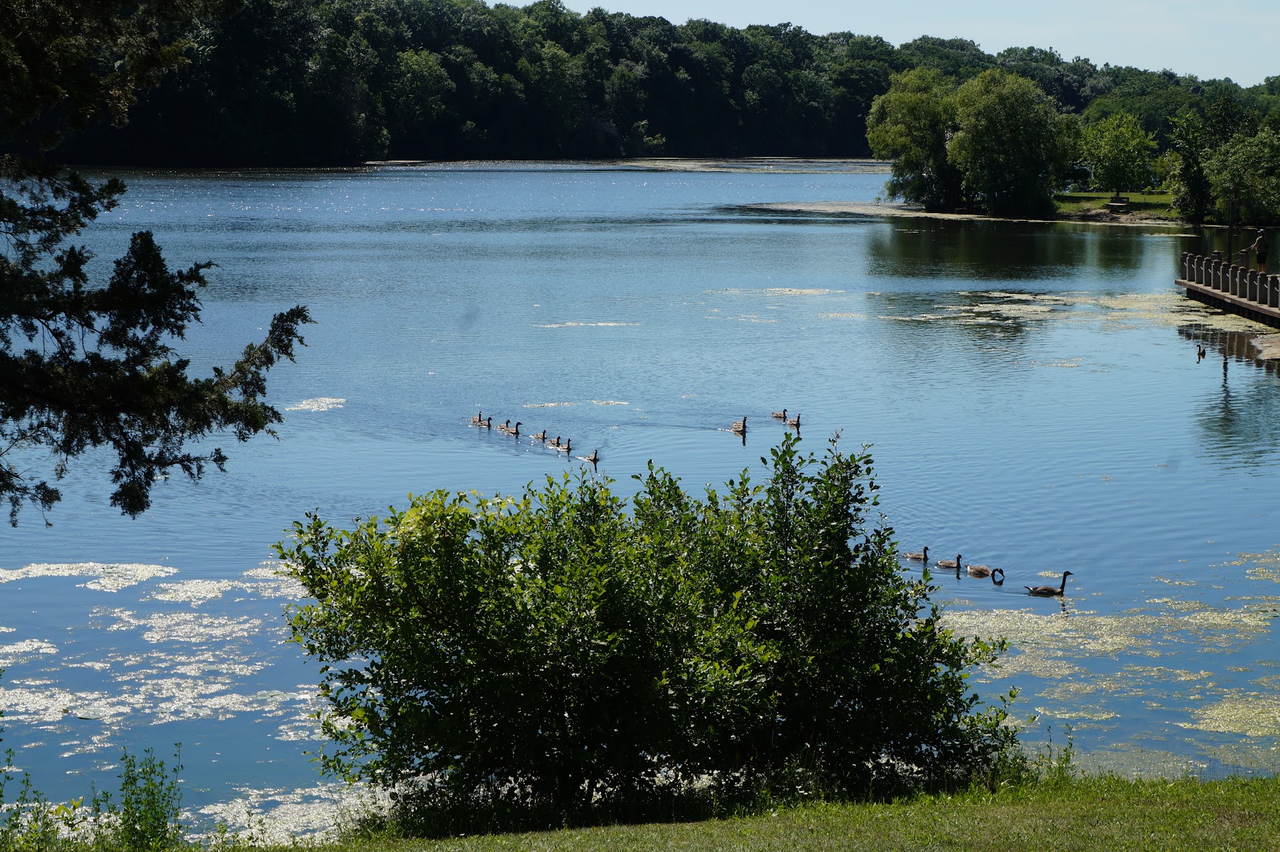 Newburgh Pointe