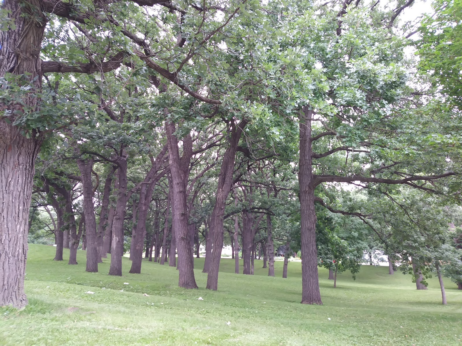 Newell Park