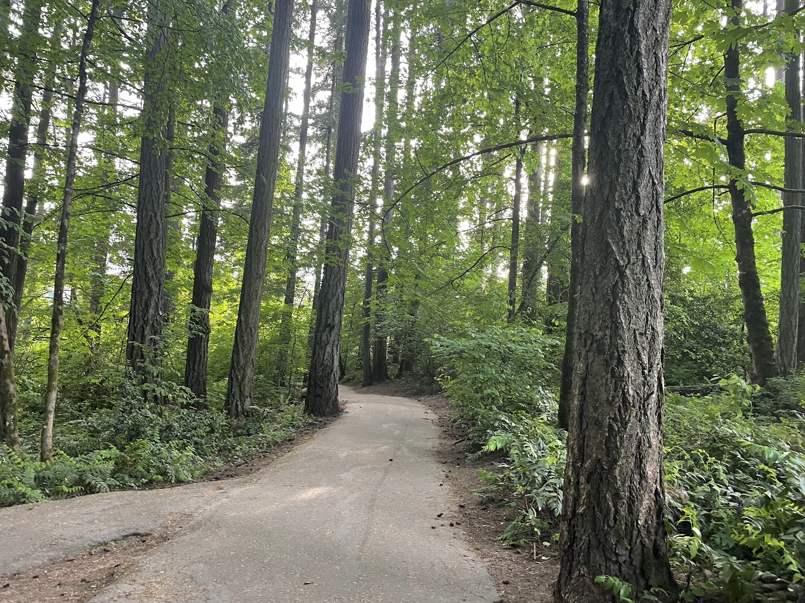 Noble Woods Park