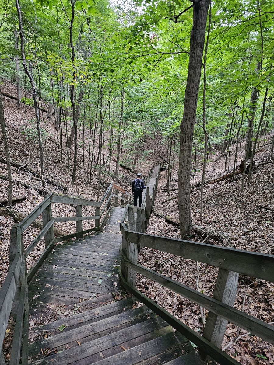North Ottawa Dunes