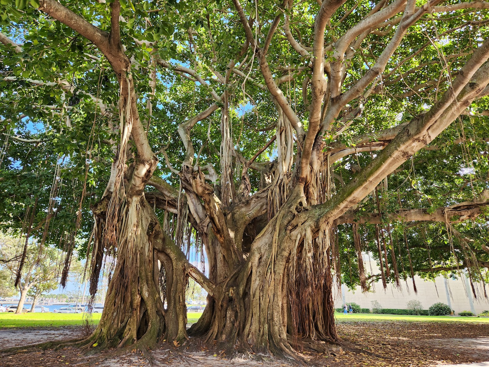 North Straub Park