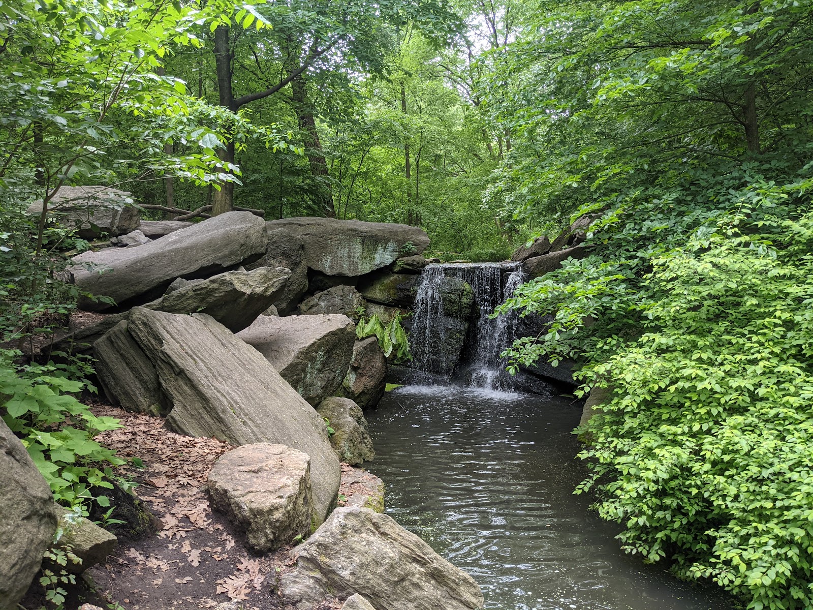 North Woods