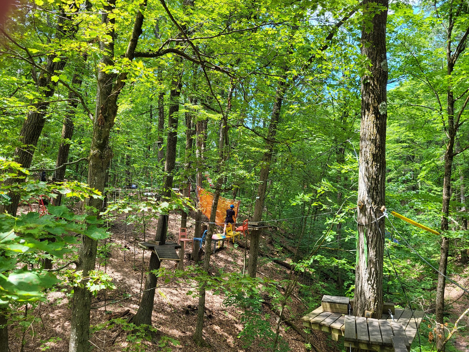NYzipline