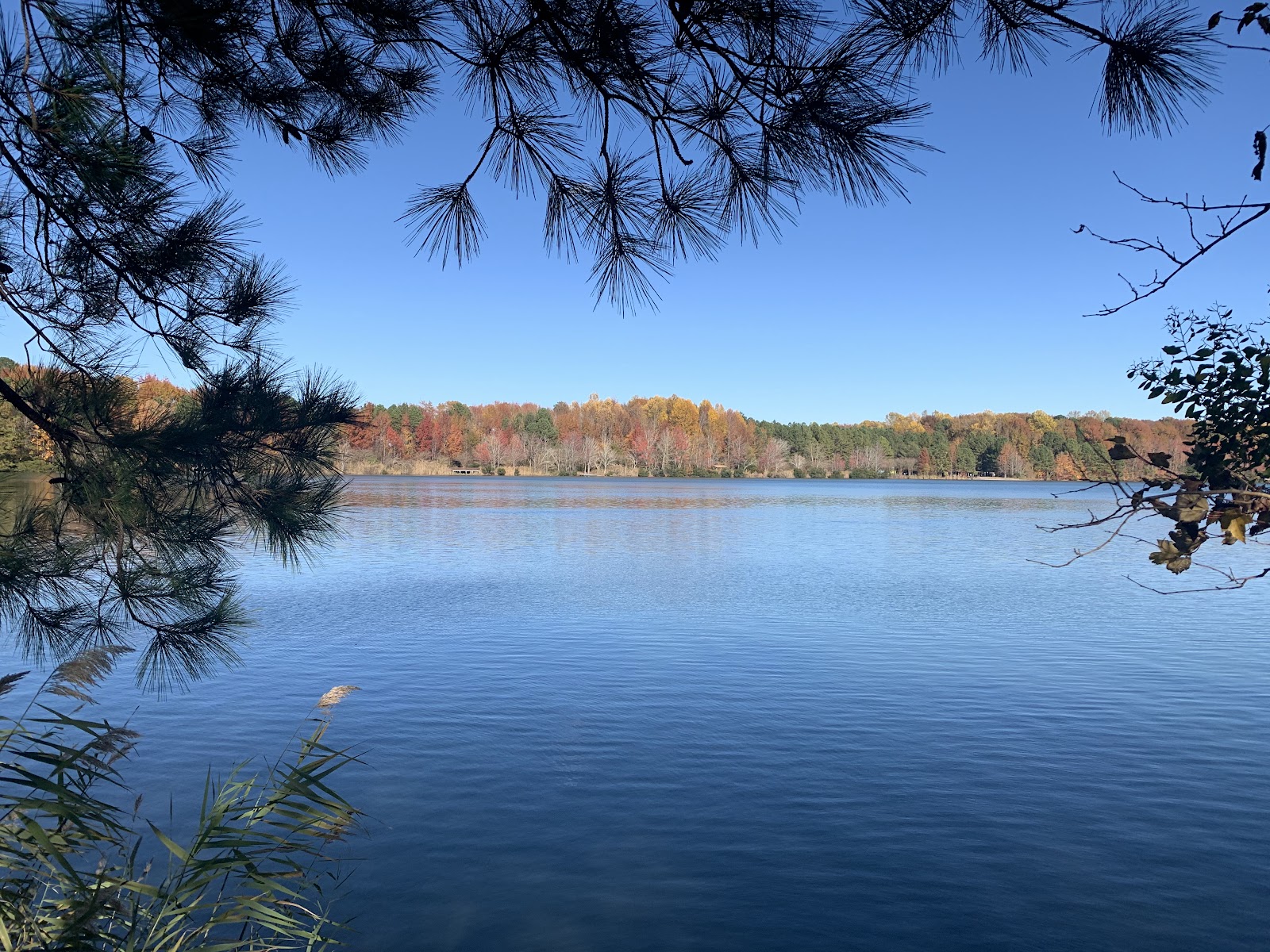 Oak Grove Park