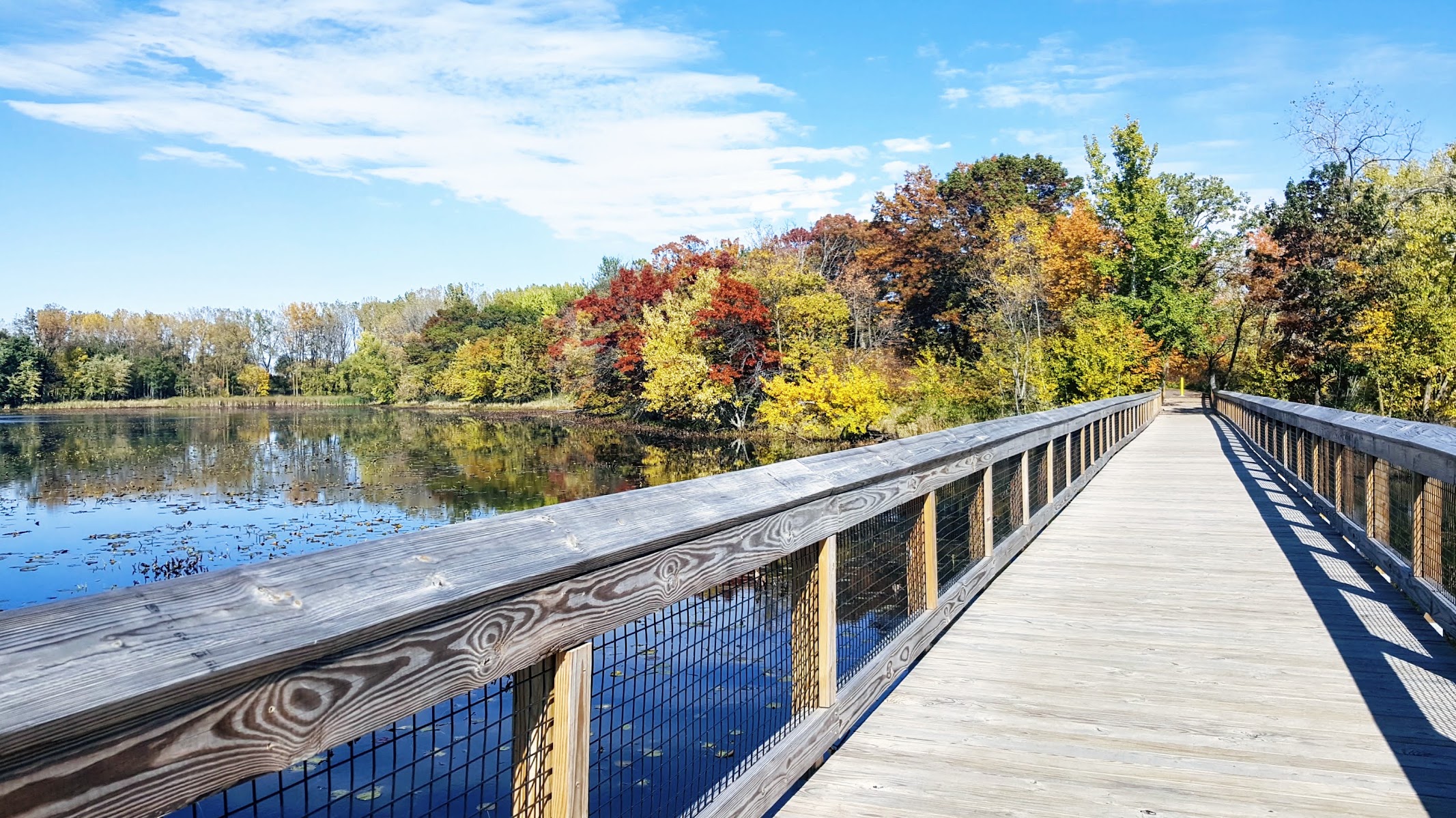 Oakdale Nature Preserve