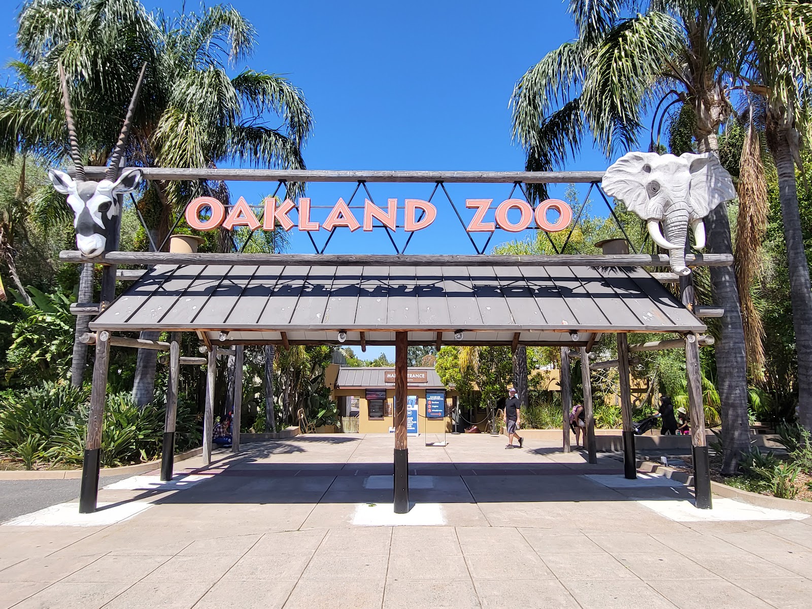 Family Afternoon at Oakland Zoo