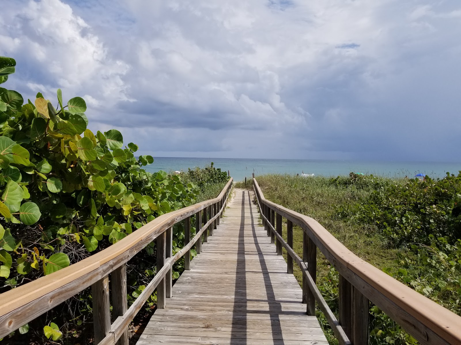 Ocean Ridge Hammock Park