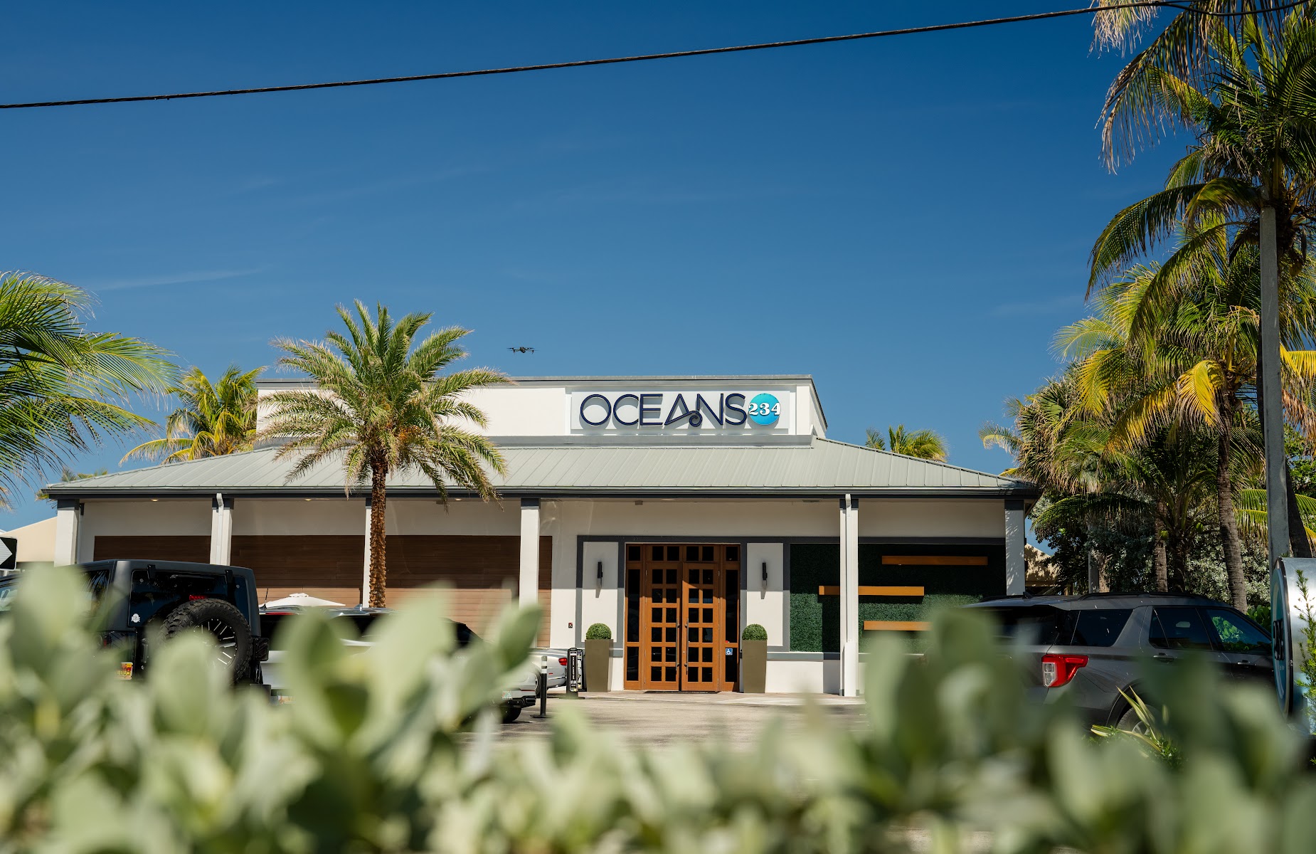 Oceans 234