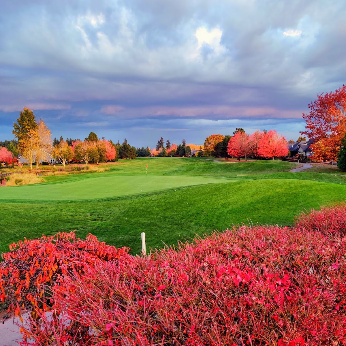 OGA Golf Course