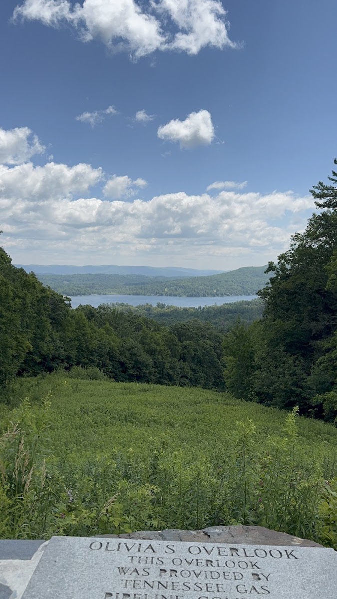 Olivia's Overlook at Yokun Ridge Reserve