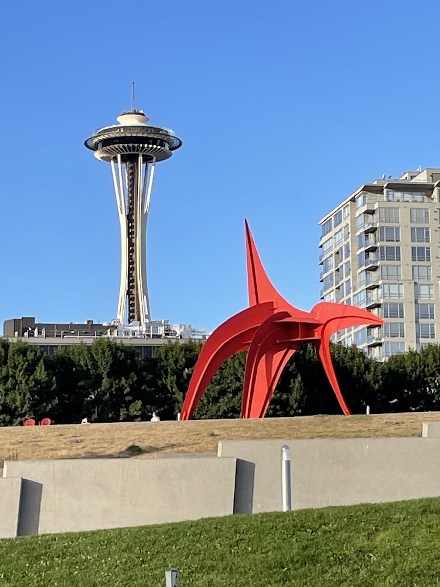 Olympic Sculpture Park