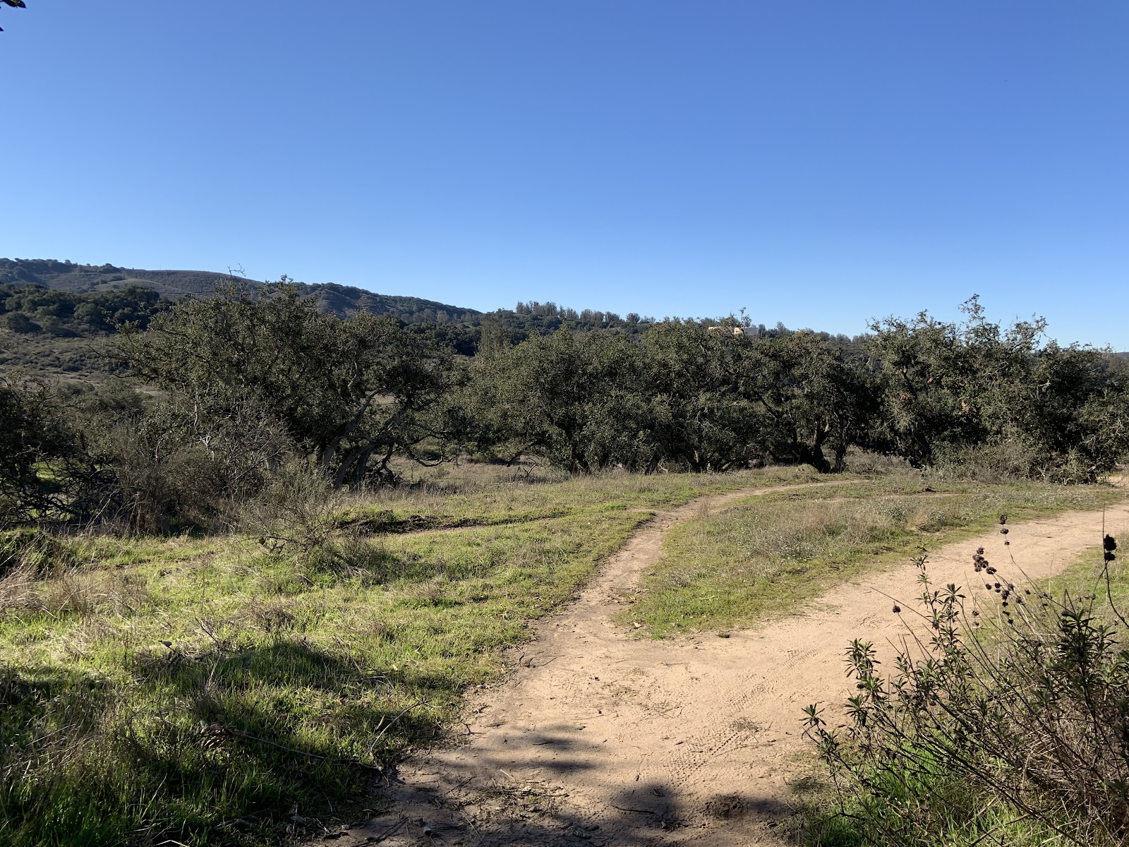 Orcutt Trails