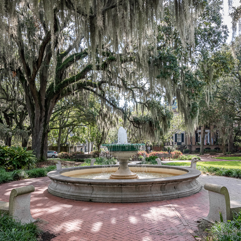 Orleans Square