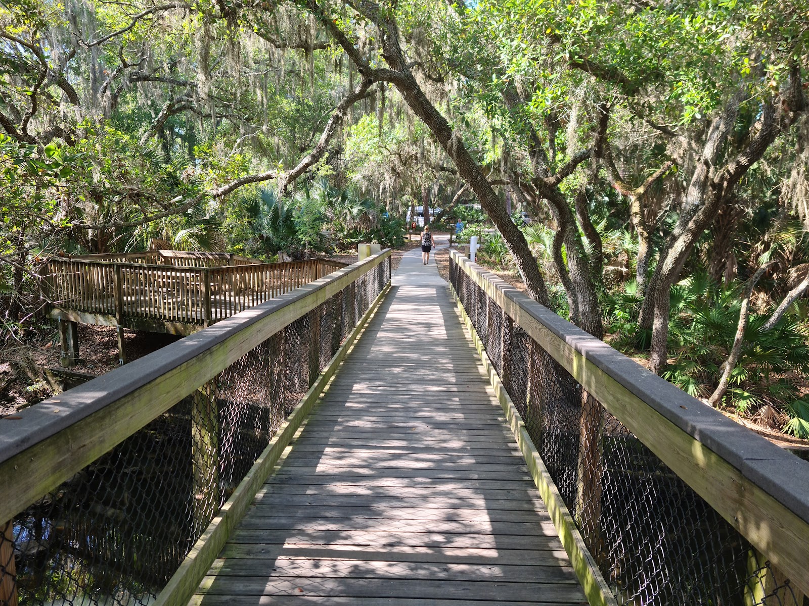 Oscar Scherer State Park