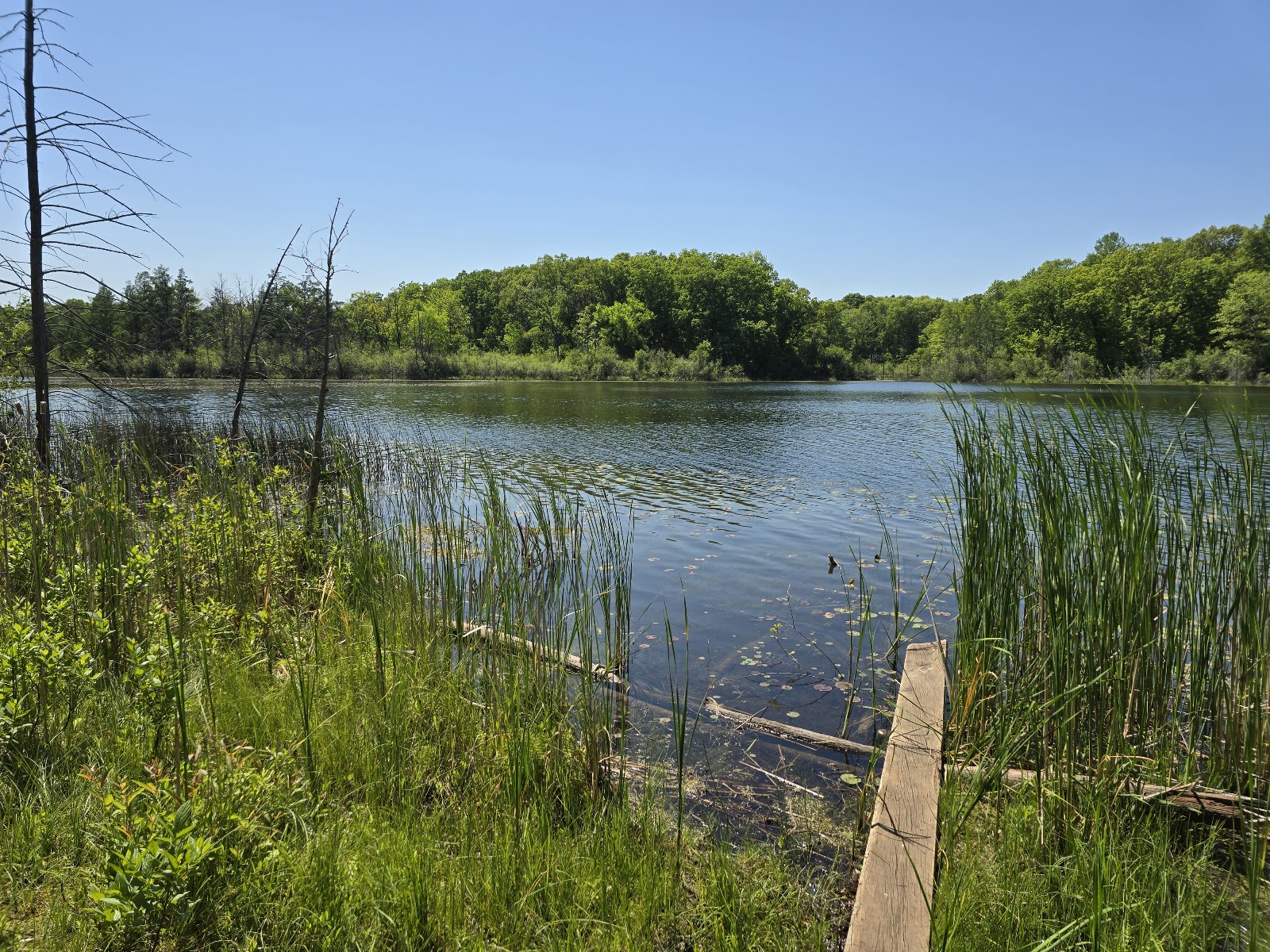 Ott Biological Preserve