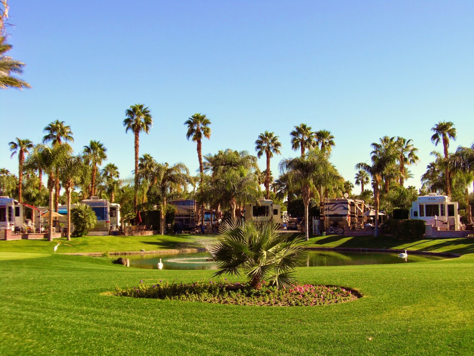 Outdoor Resort Palm Springs