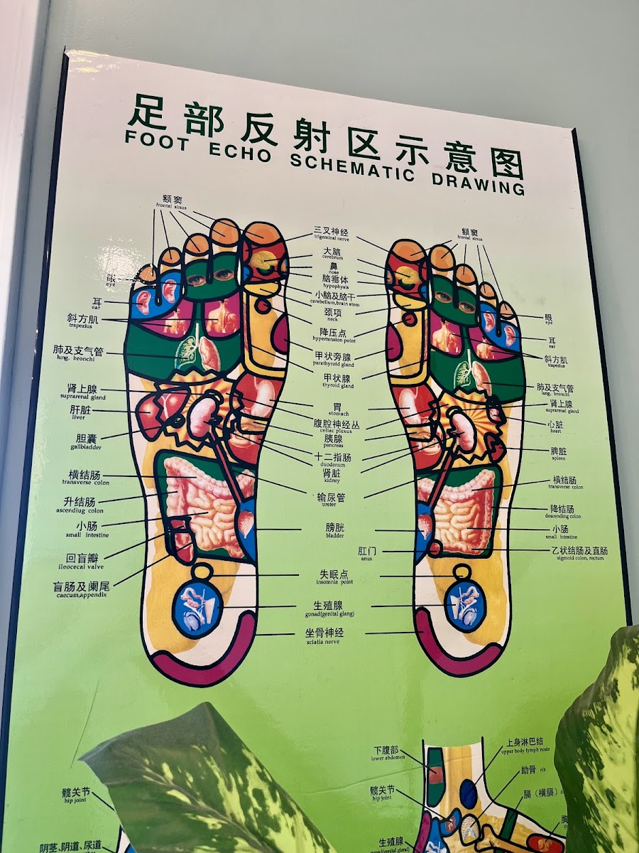 Paradise Foot Spa - Foot & Body Massages in St. Petersburg, FL