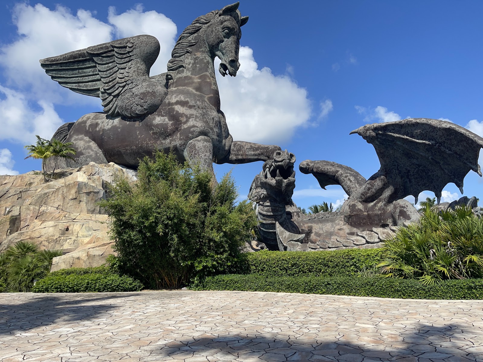 Pegasus and Dragon