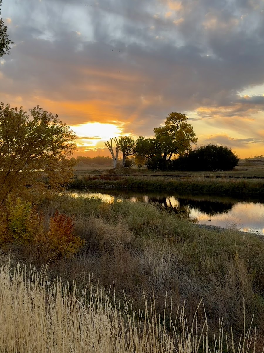 Pelican Ponds Open Space