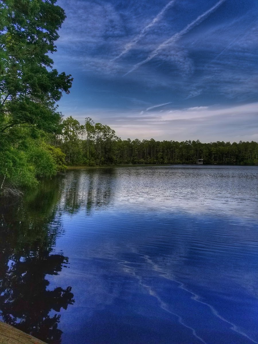 Pellicer Creek Conservation Area