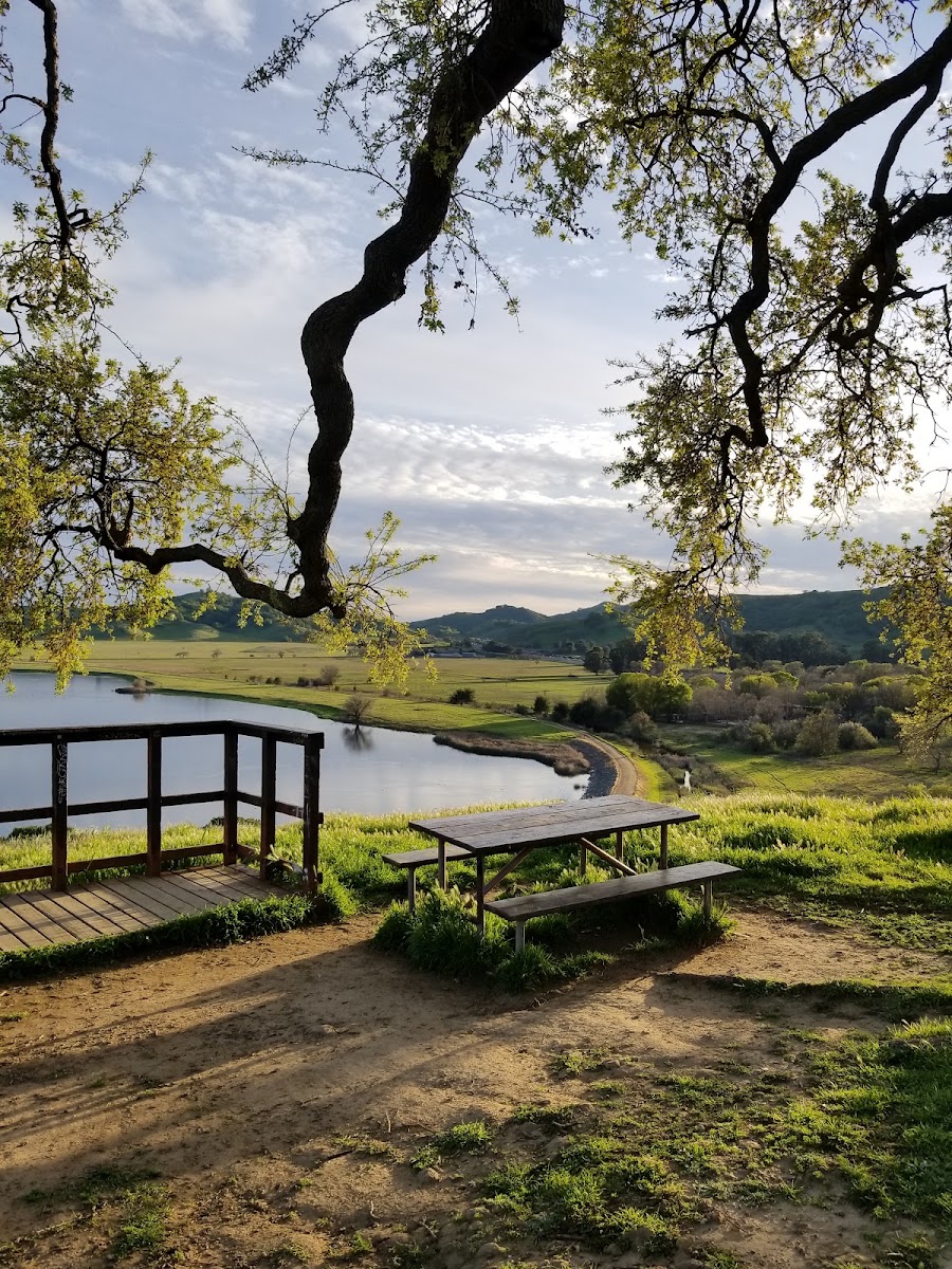 Peña Adobe Regional Park
