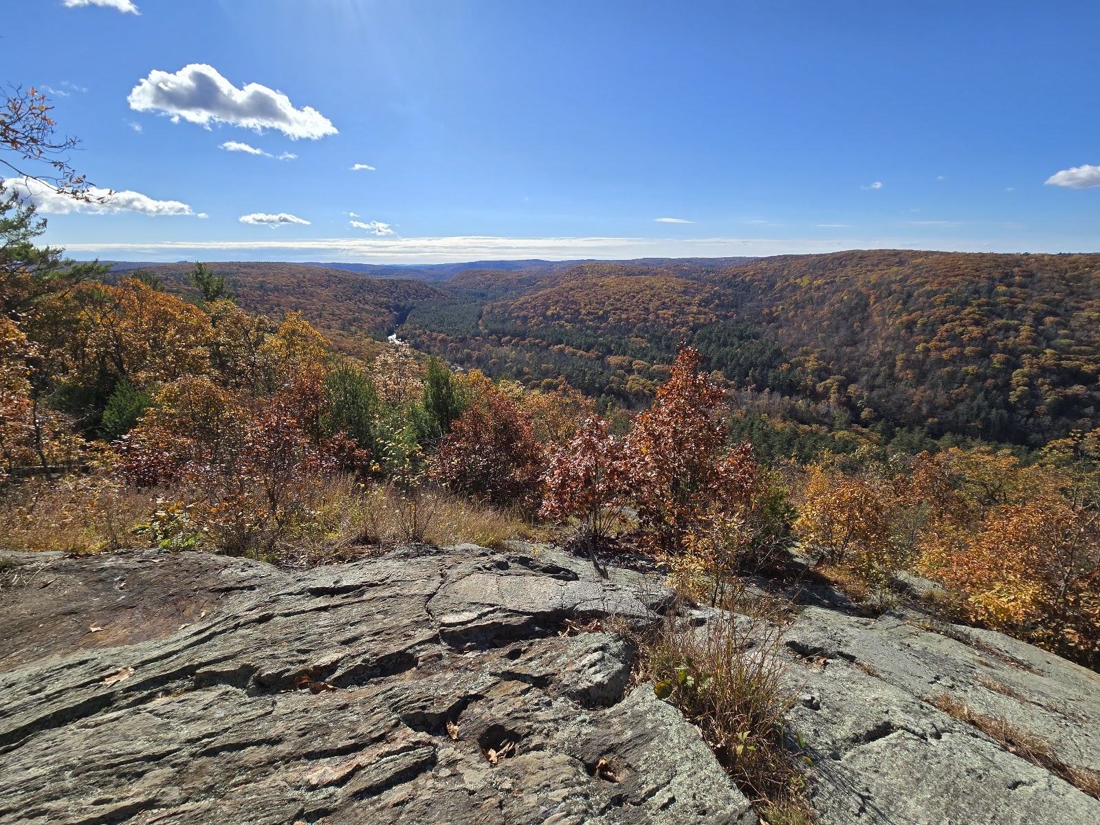 Peoples State Forest