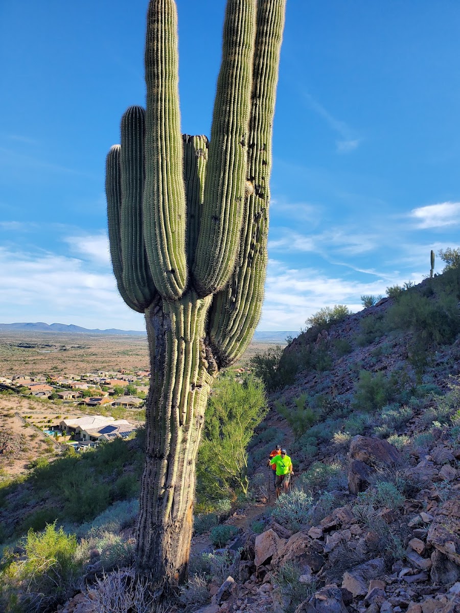 Peoria Calderwood Butte Preserve