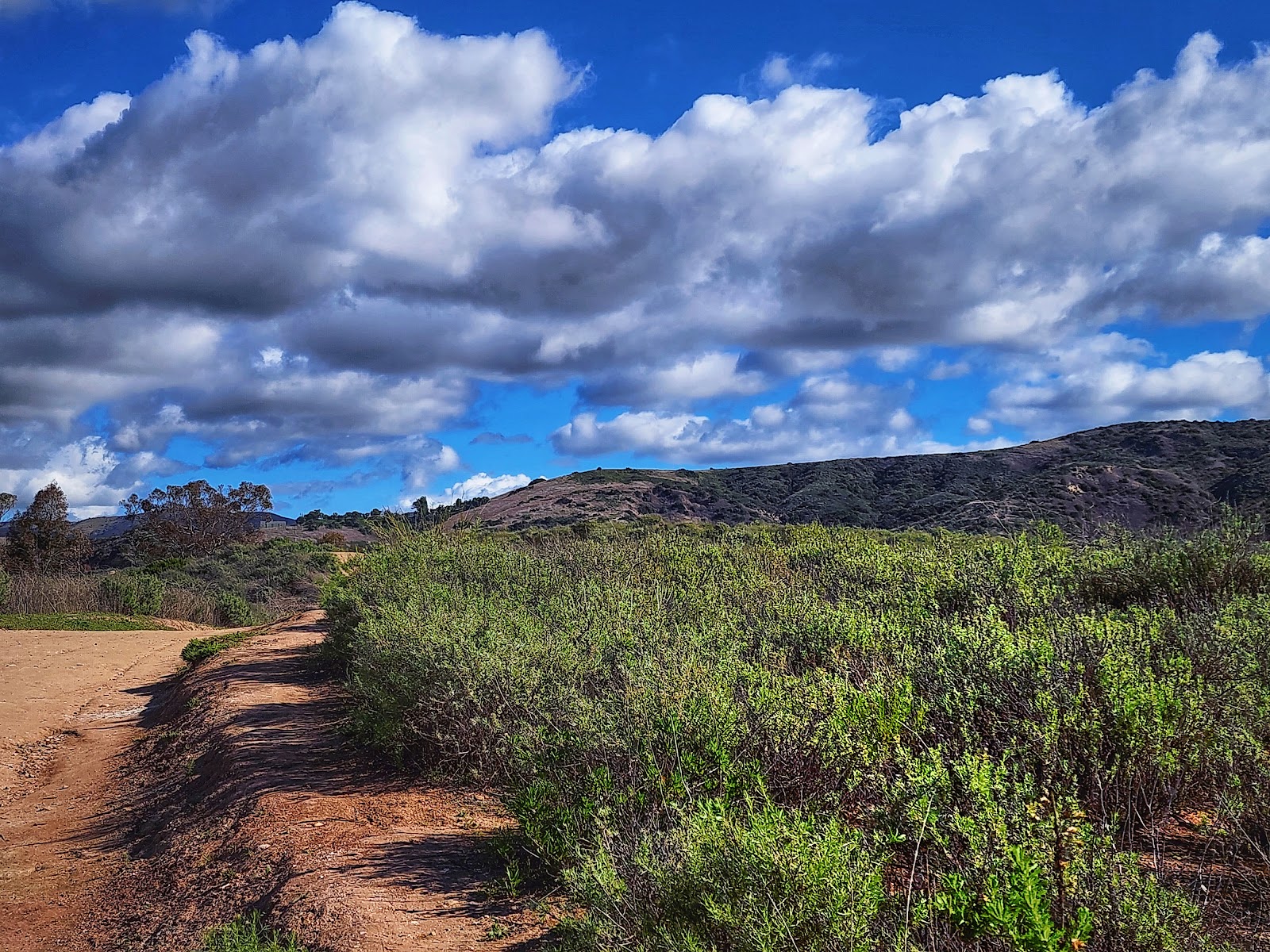 Peters Canyon South Trailhead