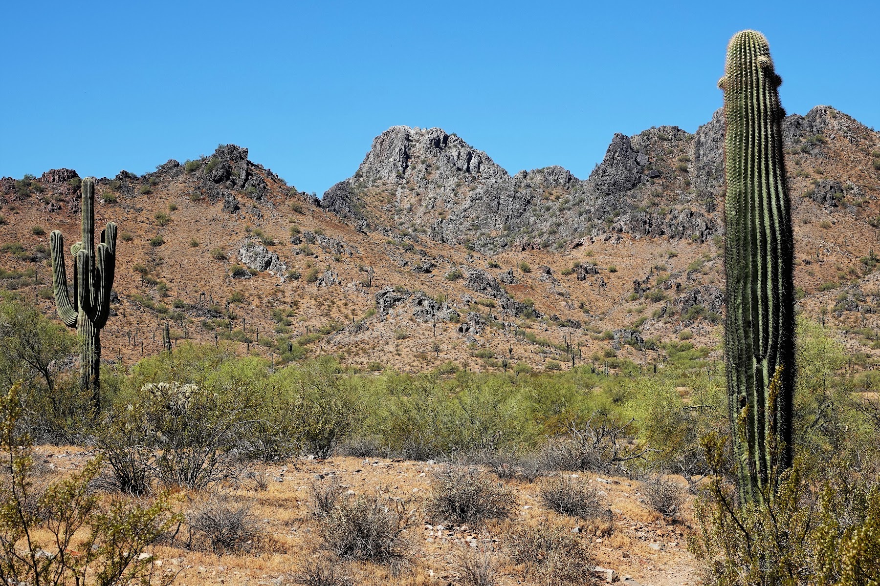 Phoenix Mountain Preserve - 40th St. Trailhead