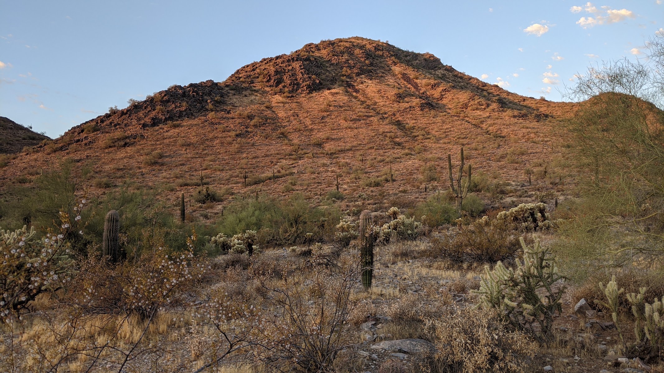 Phoenix Mountains Preserve